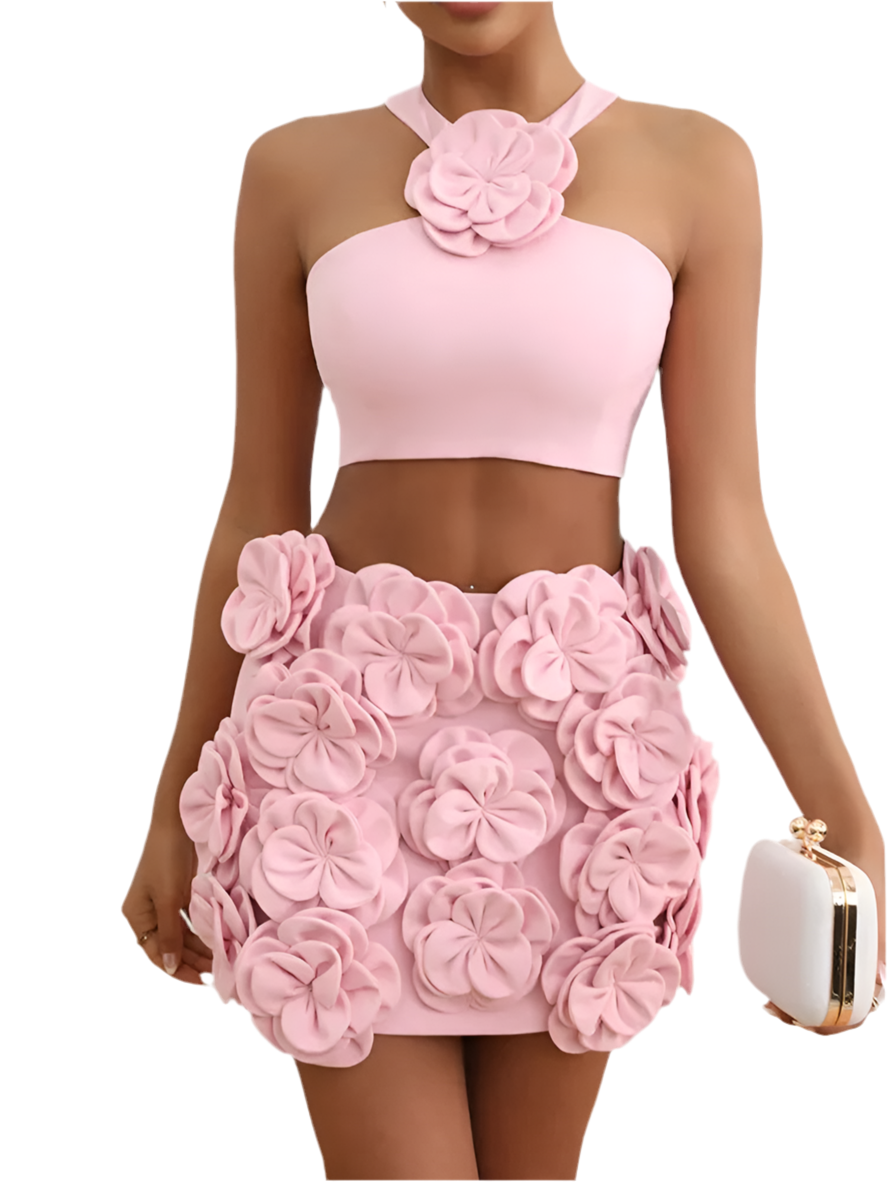 Peach Pink Lace Appliqué Mini Dress Set VestiVogue