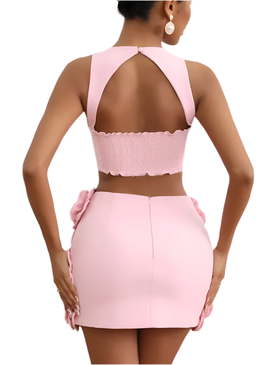 Peach Pink Lace Appliqué Mini Dress Set VestiVogue  