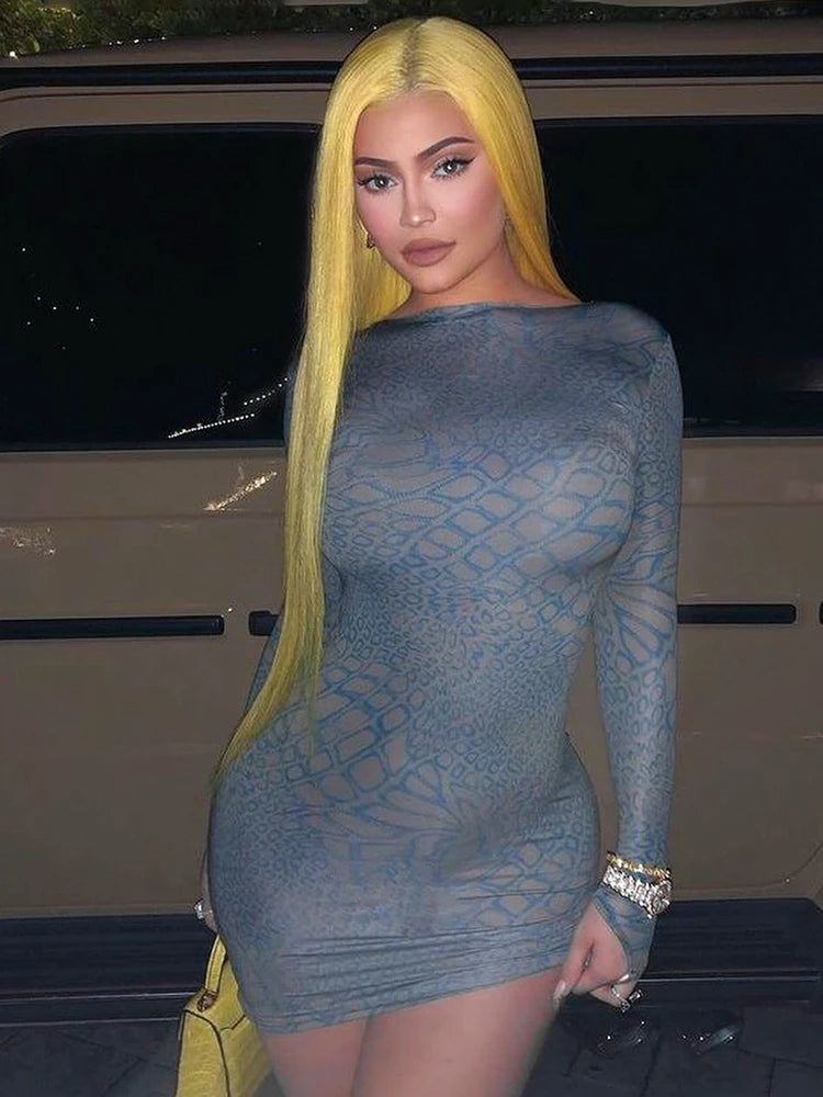 Chic Panelled Print Mini Dress with O-neck and Full Sleeves VestiVogue